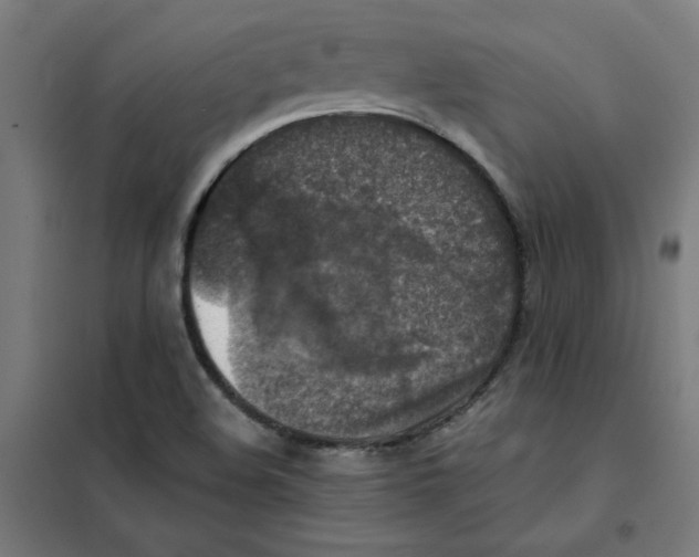 X0000101411508200808041052