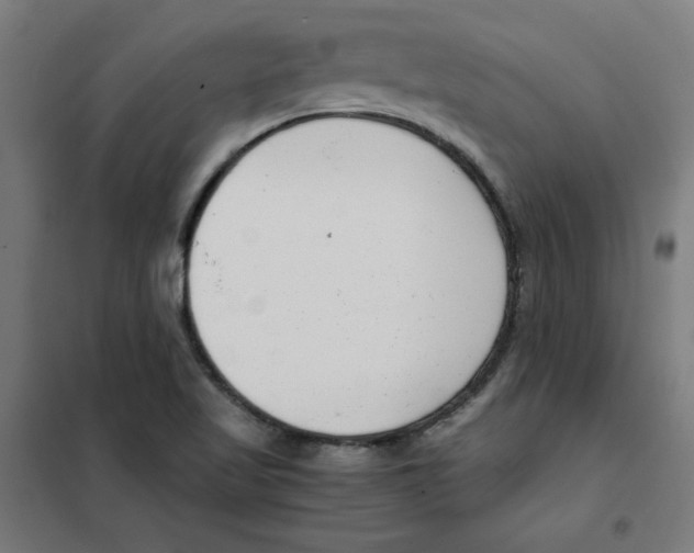 X0000101411509200808041052