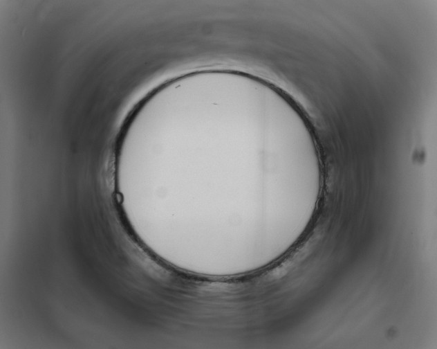 X0000101411510200808041052