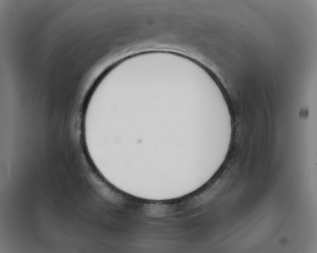 X0000101411511200808041052