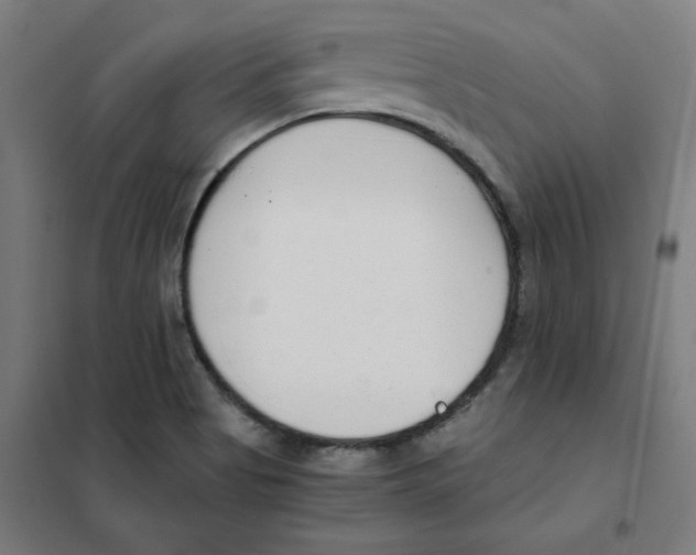 X0000101411513200808041052