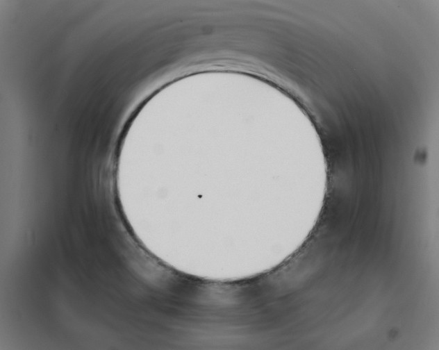 X0000101411514200808041052