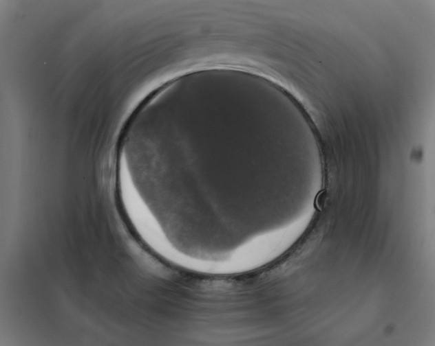 X0000101411515200808041052
