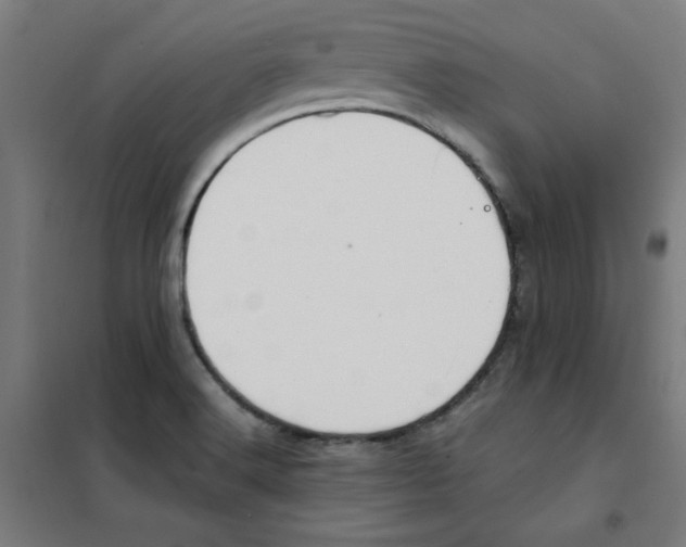 X0000101411516200808041052