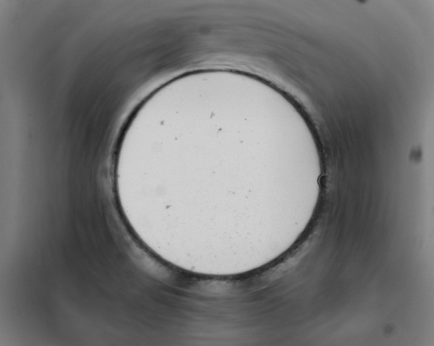 X0000101411517200808041052