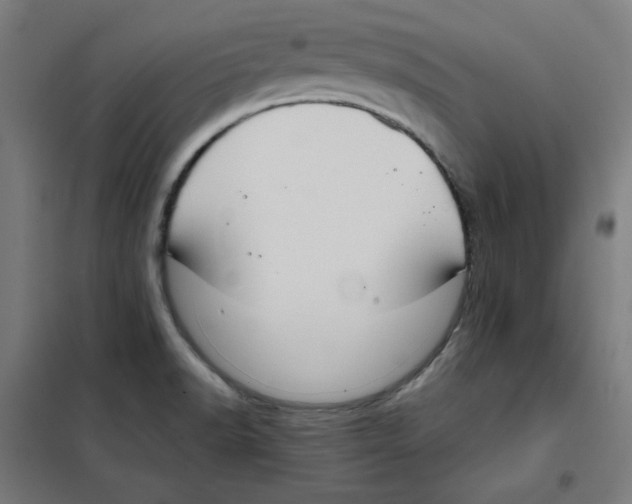 X0000101411518200808041052