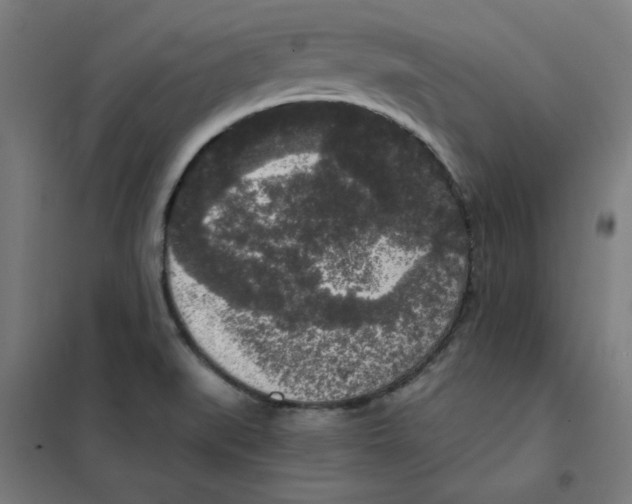 X0000101411519200808041052