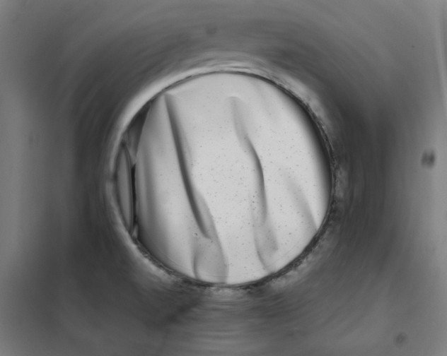 X0000101411520200808041052