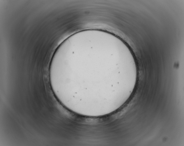 X0000101411521200808041052