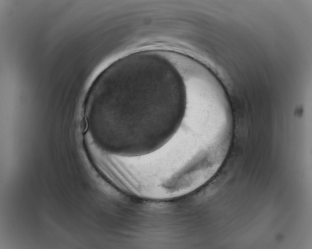 X0000101411522200808041052