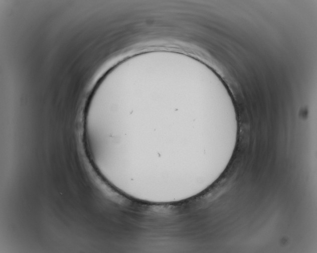 X0000101411523200808041052