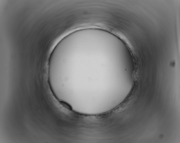 X0000101411524200808041052