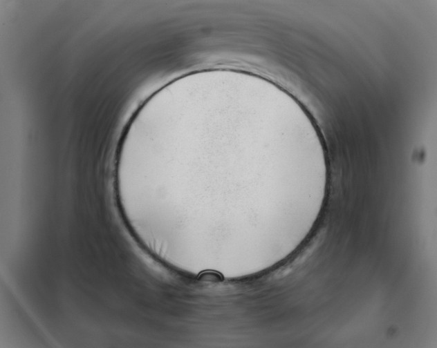 X0000101411525200808041052