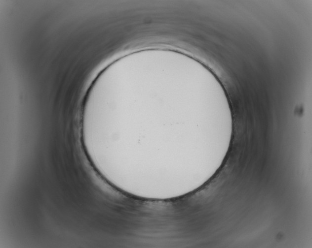 X0000101411526200808041052