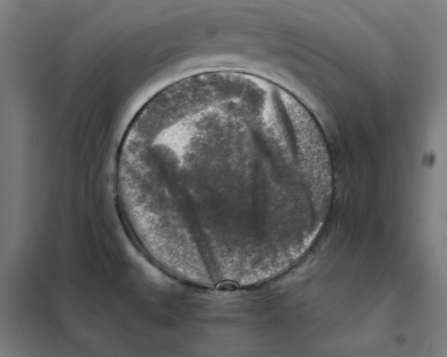 X0000101411527200808041052