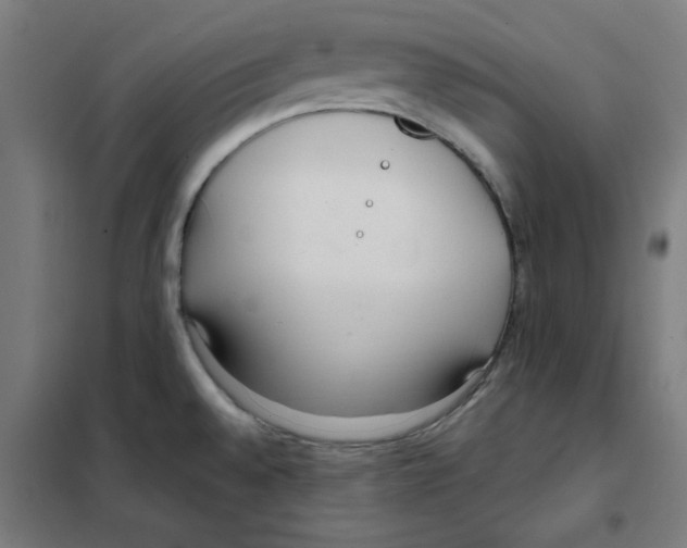 X0000101411528200808041052