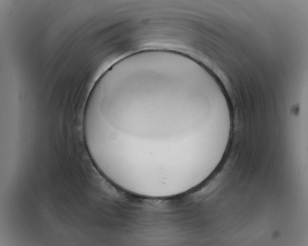 X0000101411529200808041052