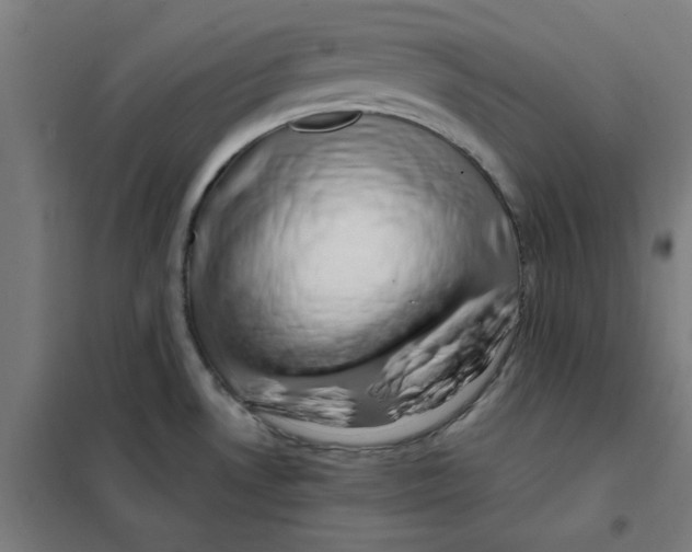 X0000101411530200808041052