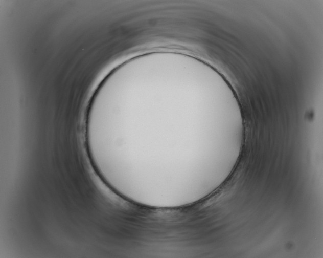 X0000101411531200808041052