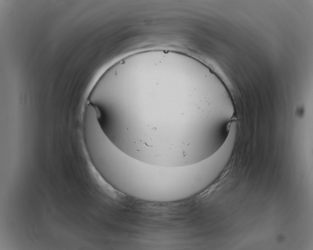 X0000101411532200808041052
