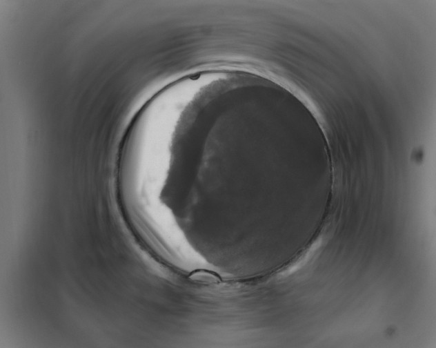 X0000101411533200808041052