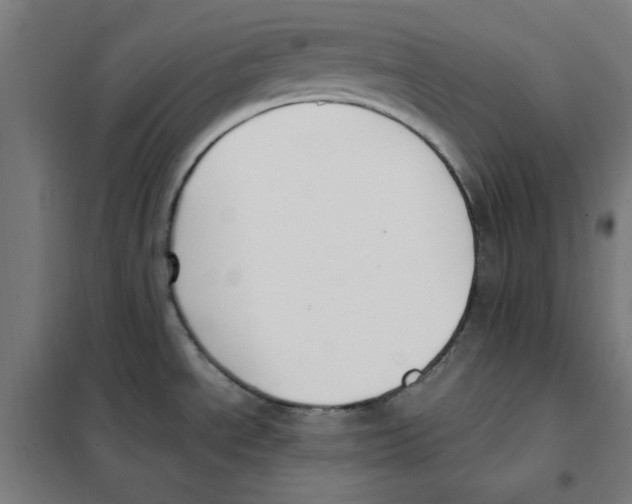 X0000101411534200808041052
