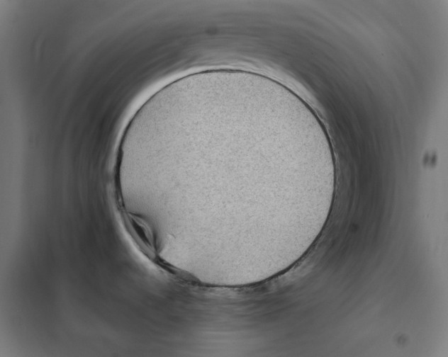 X0000101411536200808041052