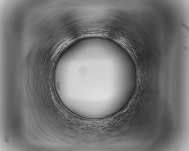 X0000101420001200807071042