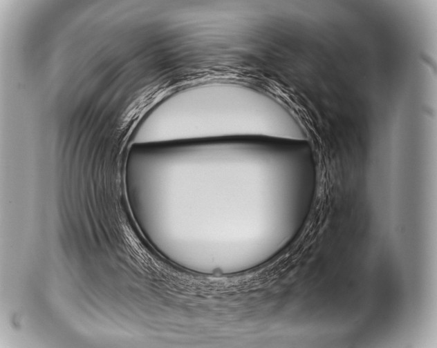 X0000101420002200807071042