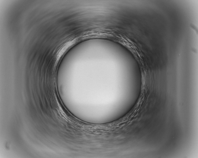 X0000101420003200807071042