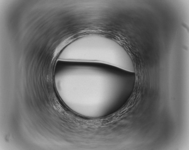 X0000101420004200807071042