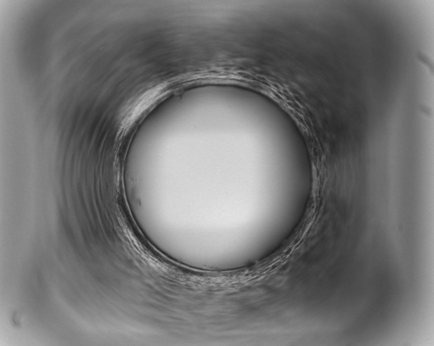 X0000101420005200807071042