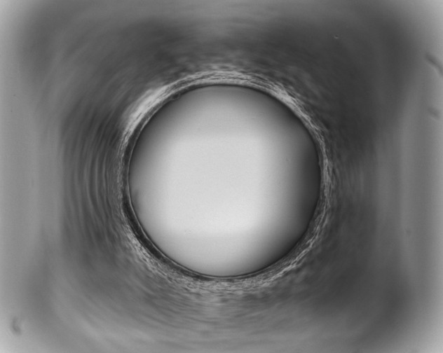X0000101420007200807071042