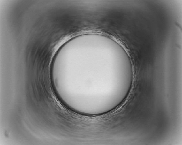 X0000101420008200807071042