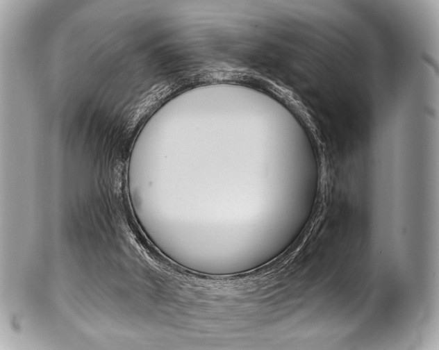 X0000101420010200807071042