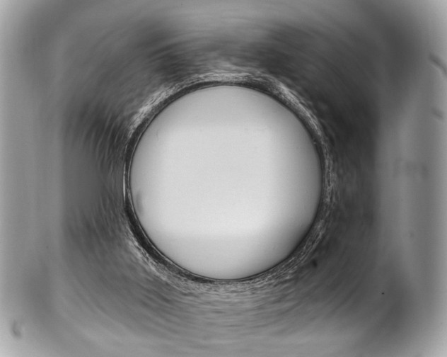 X0000101420011200807071042