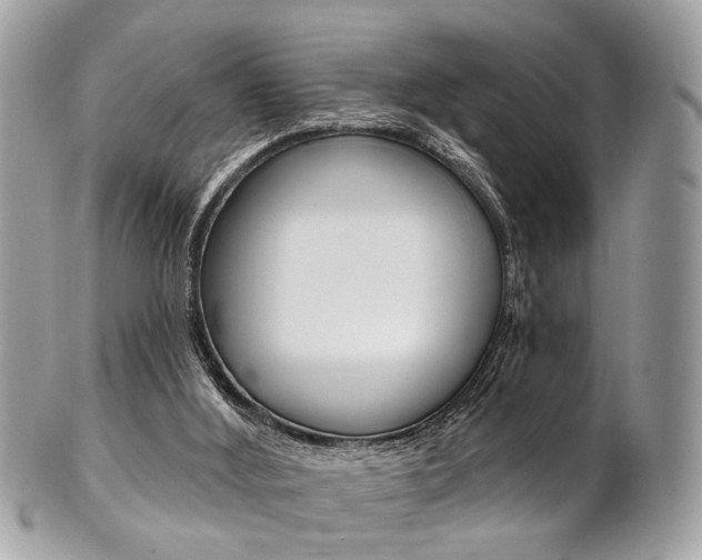 X0000101420012200807071042