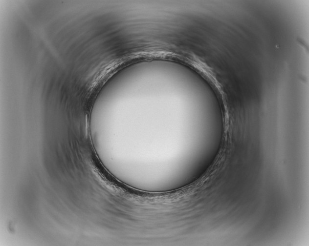 X0000101420013200807071042