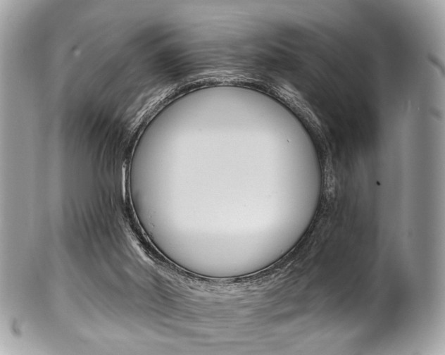 X0000101420014200807071042