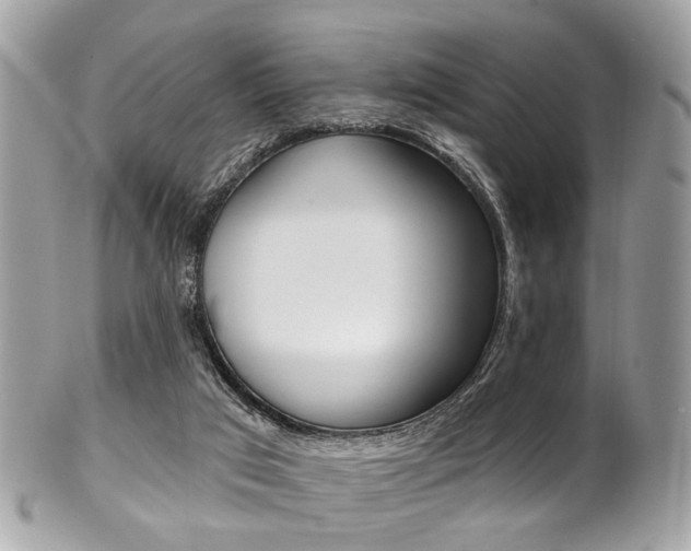 X0000101420017200807071042