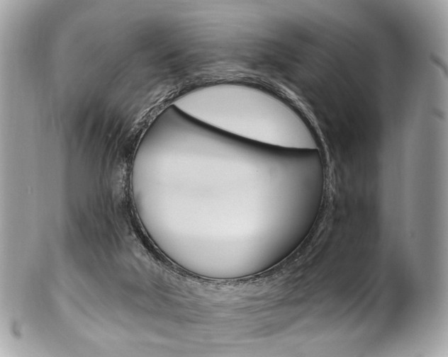 X0000101420018200807071042