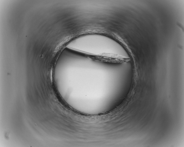 X0000101420019200807071042