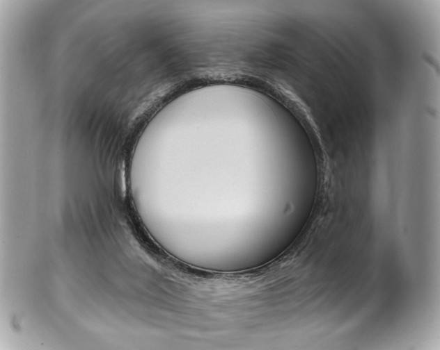 X0000101420020200807071042