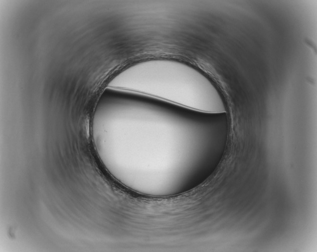 X0000101420021200807071042