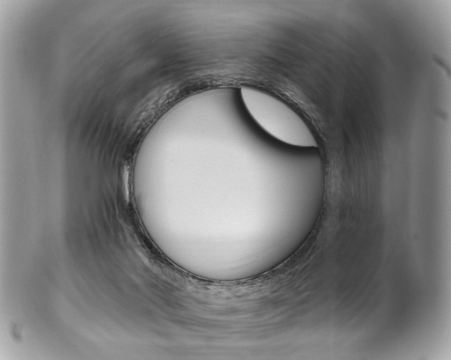 X0000101420022200807071042