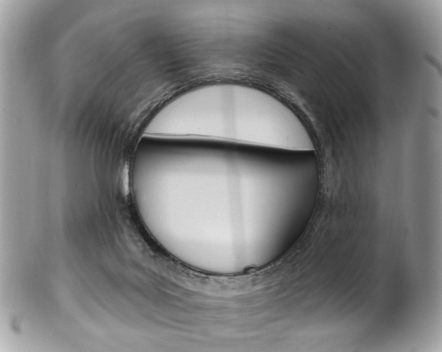X0000101420027200807071042