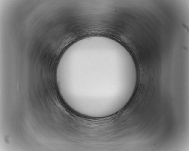 X0000101420028200807071041