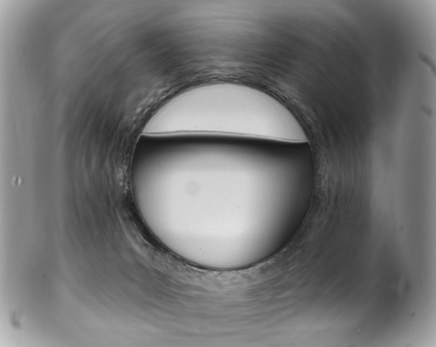 X0000101420031200807071041