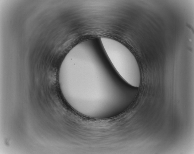 X0000101420032200807071041