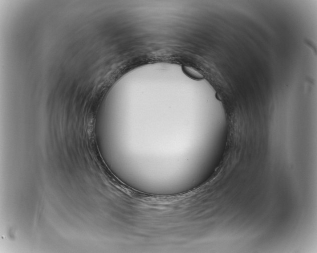 X0000101420033200807071041